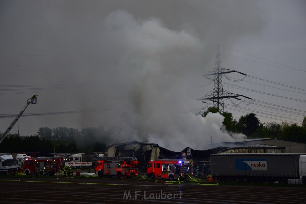 Feuer 3 Rheinkassel Feldkasseler Weg P0816.JPG - Miklos Laubert